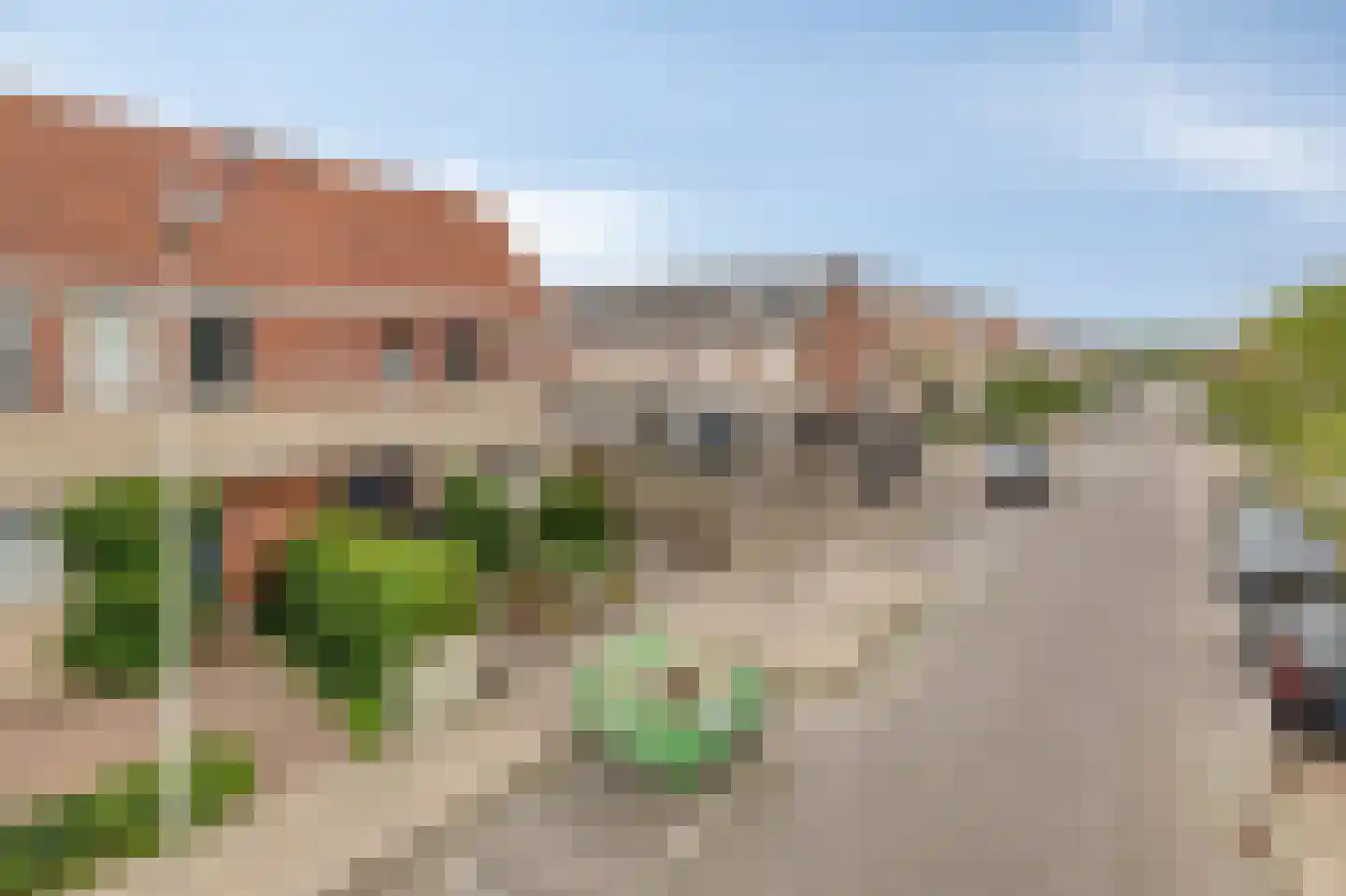 Grauwe Gans 42 Bergen op Zoom thumbnail 41