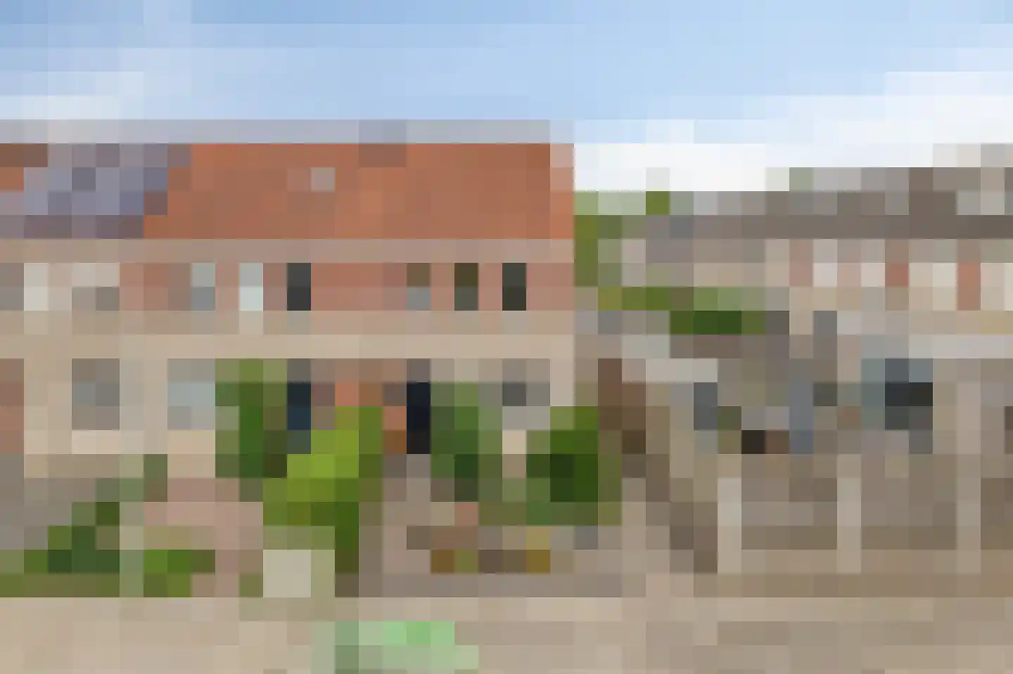 Grauwe Gans 42 Bergen op Zoom thumbnail 42