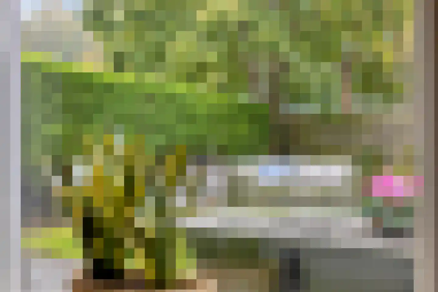 Grauwe Gans 42 Emmen thumbnail 11