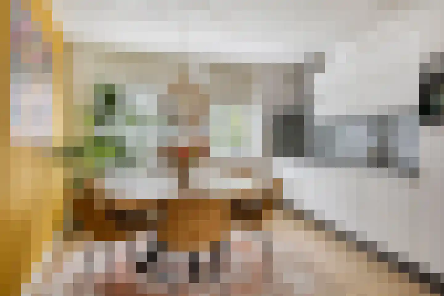 Grauwe Gans 42 Emmen thumbnail 13