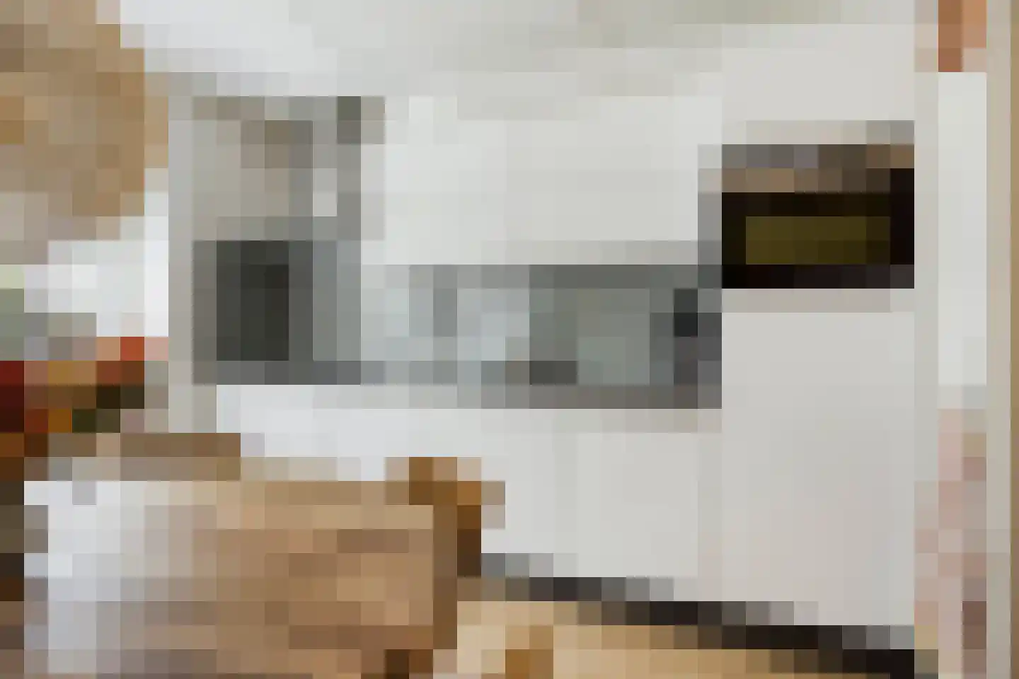 Grauwe Gans 42 Emmen thumbnail 14