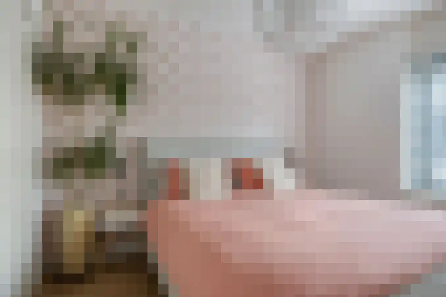 Grauwe Gans 42 Emmen thumbnail 20