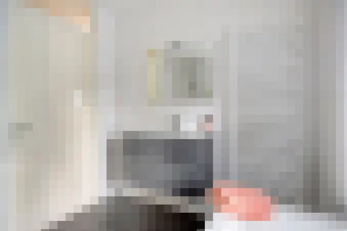 Grauwe Gans 42 Emmen thumbnail 24