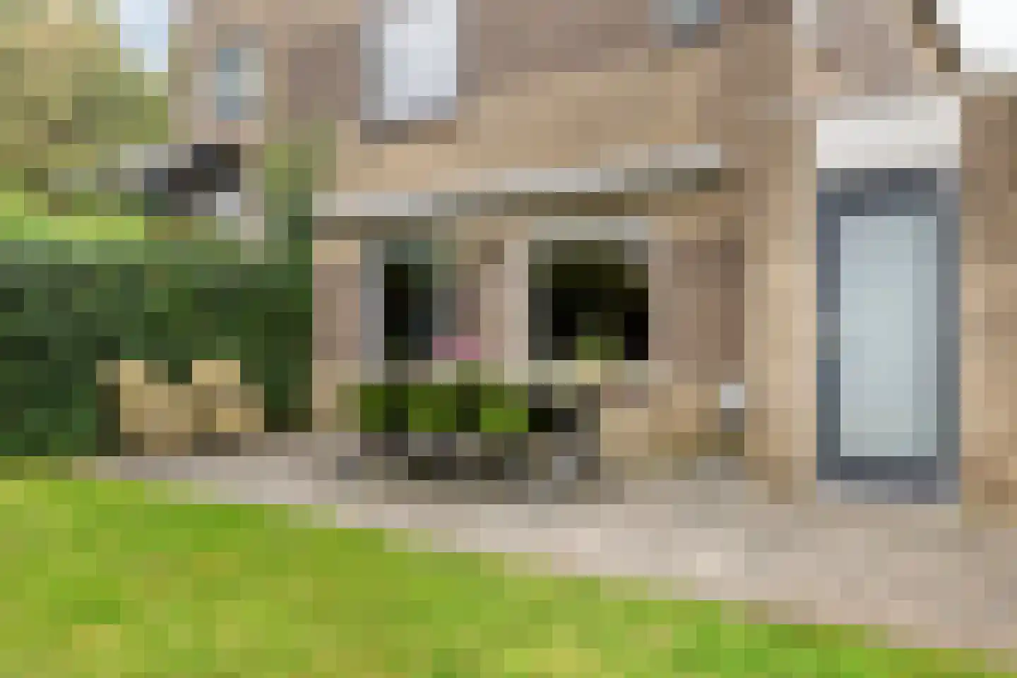 Grauwe Gans 42 Emmen thumbnail 30