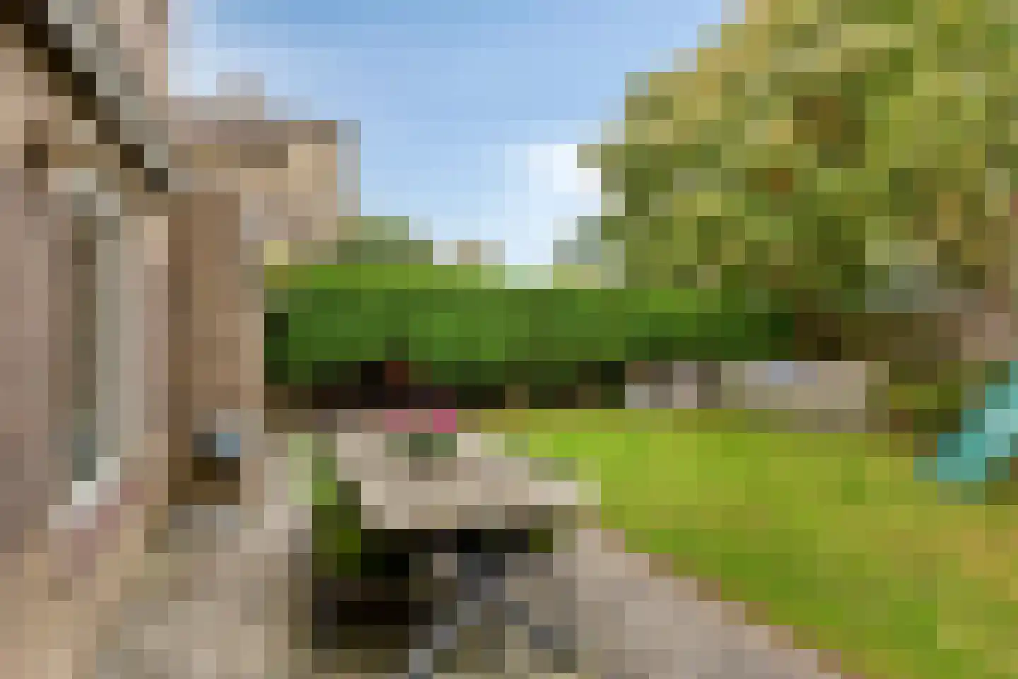 Grauwe Gans 42 Emmen thumbnail 31