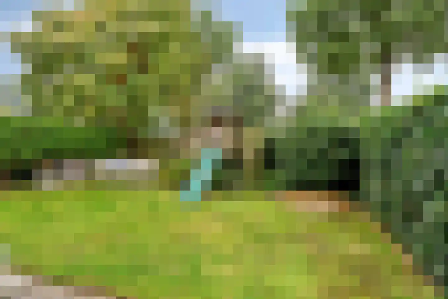 Grauwe Gans 42 Emmen thumbnail 32