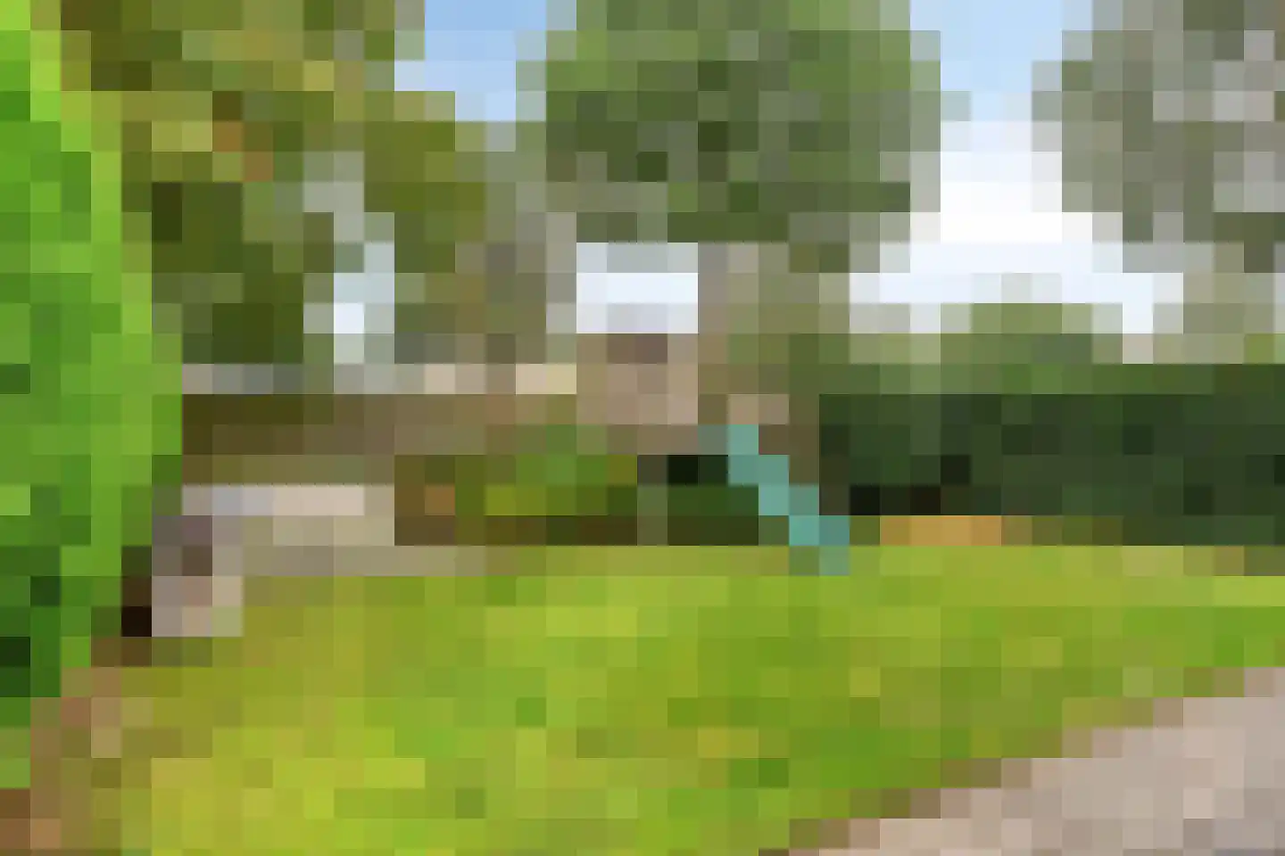 Grauwe Gans 42 Emmen thumbnail 34