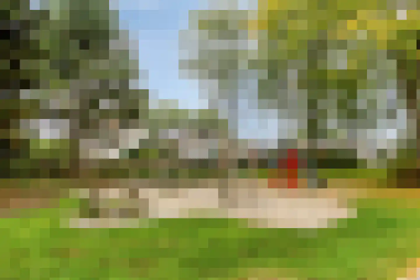 Grauwe Gans 42 Emmen thumbnail 36