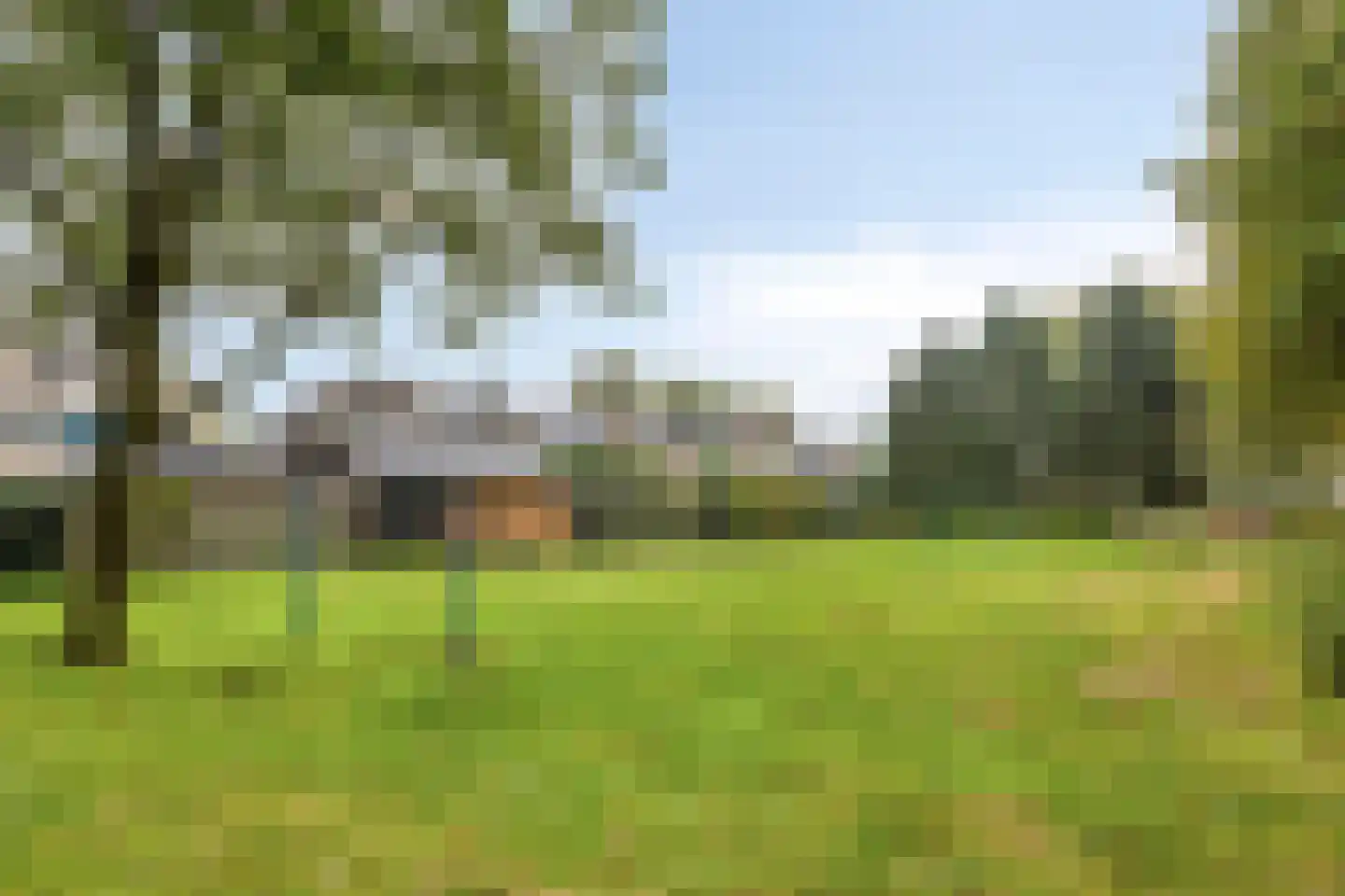 Grauwe Gans 42 Emmen thumbnail 37