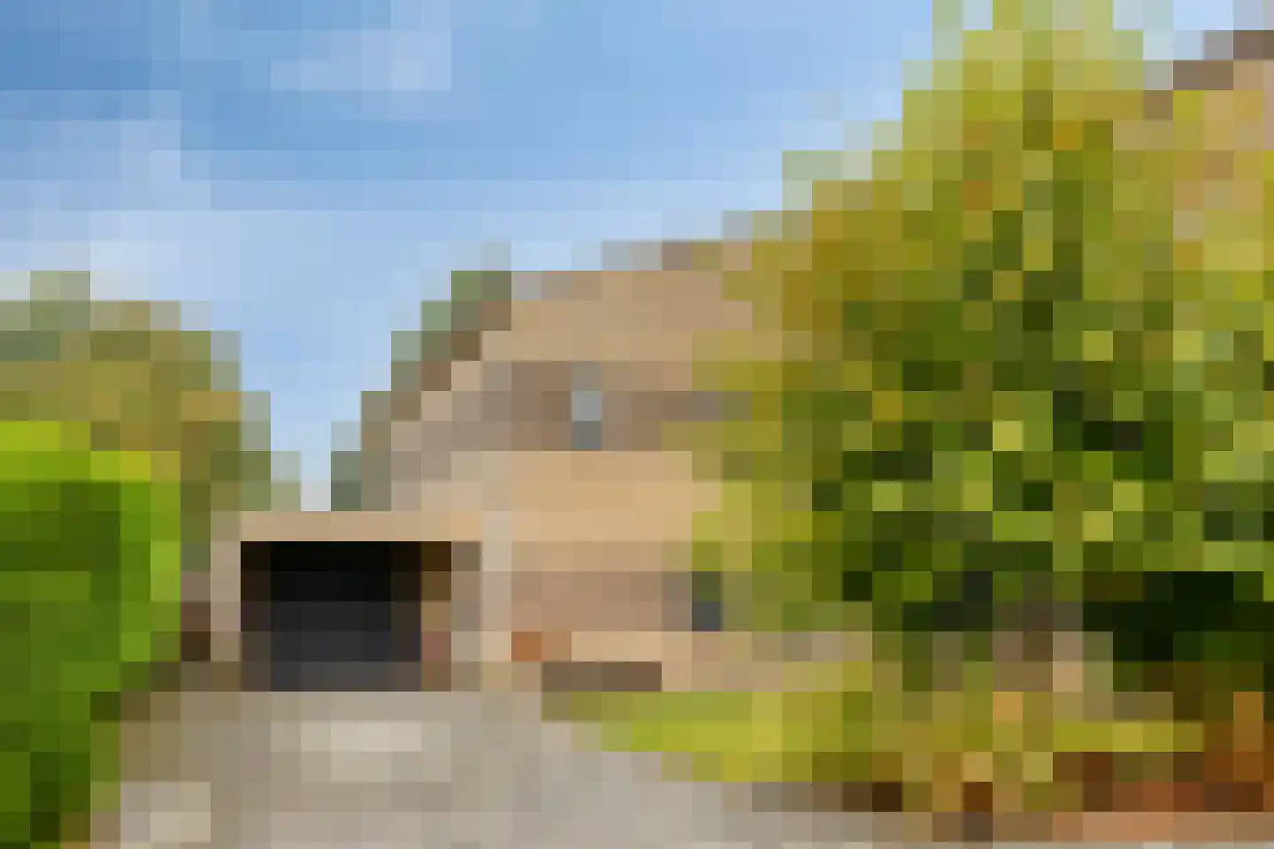 Grauwe Gans 42 Emmen thumbnail 5