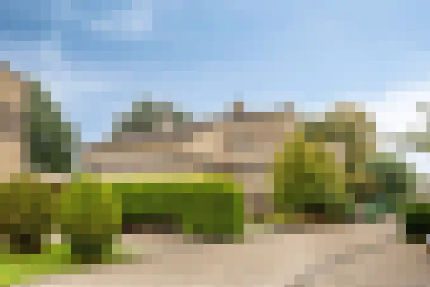 Grauwe Gans 42 Emmen thumbnail 7
