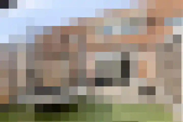 Grauwe Gans 46 Bergen op Zoom thumbnail 16
