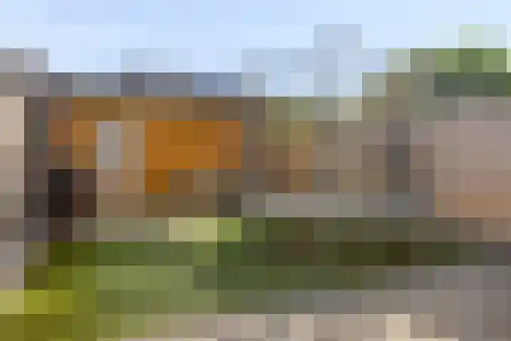 Grauwe Gans 46 Bergen op Zoom thumbnail 17