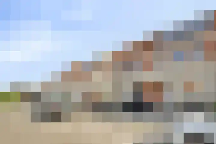 Grauwe Gans 46 Bergen op Zoom thumbnail 20