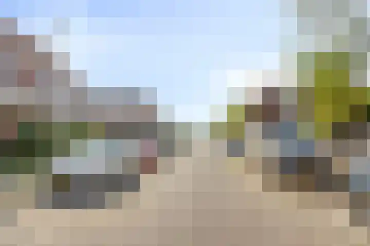 Grauwe Gans 46 Bergen op Zoom thumbnail 21