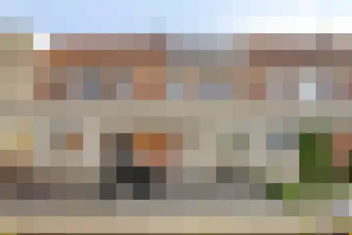 Grauwe Gans 46 Bergen op Zoom thumbnail 28
