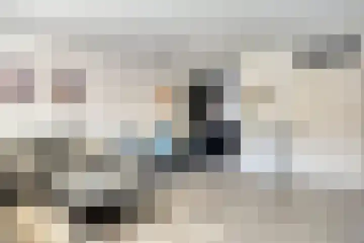 Grauwe Gans 46 Bergen op Zoom thumbnail 4
