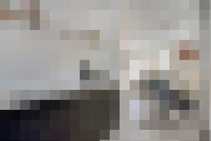 Grauwe Gans 46 Bergen op Zoom thumbnail 6