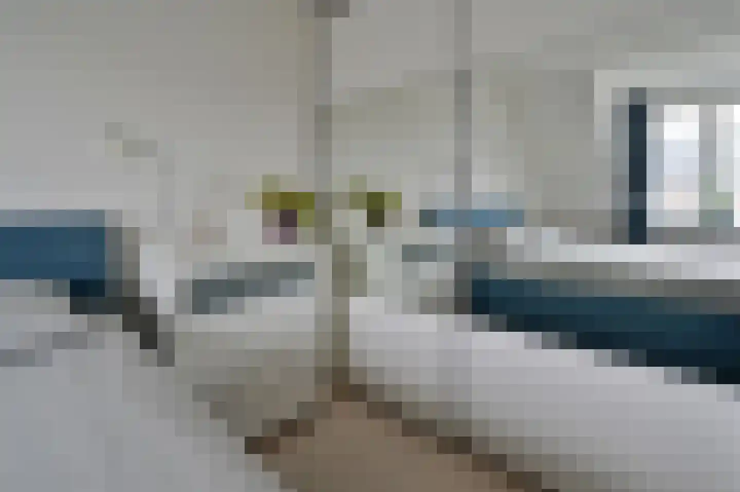 Grauwe Gans 48 Uithoorn thumbnail 12
