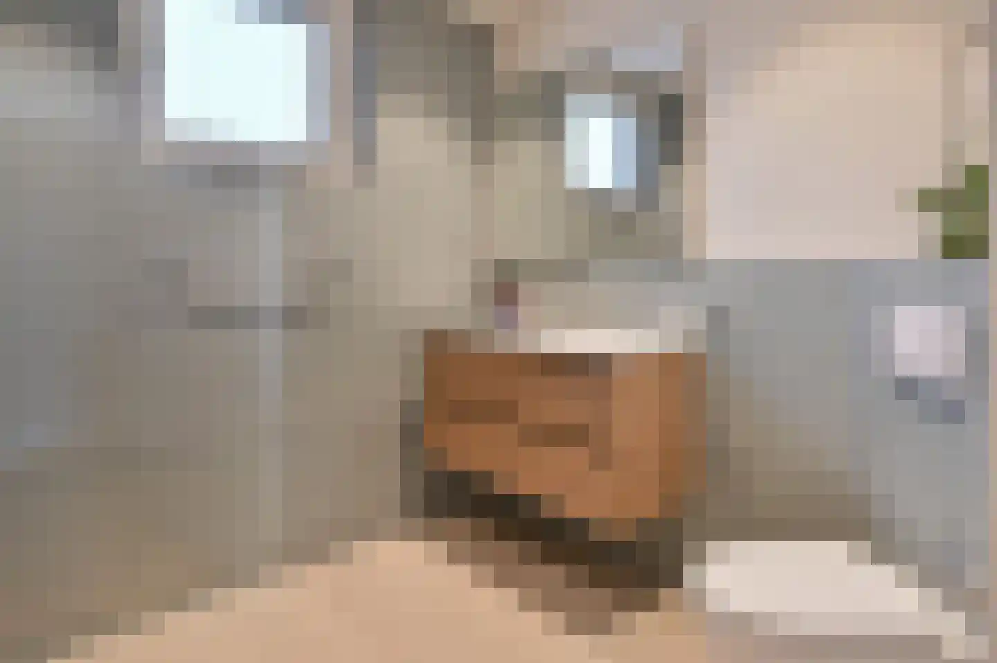 Grauwe Gans 48 Uithoorn thumbnail 15