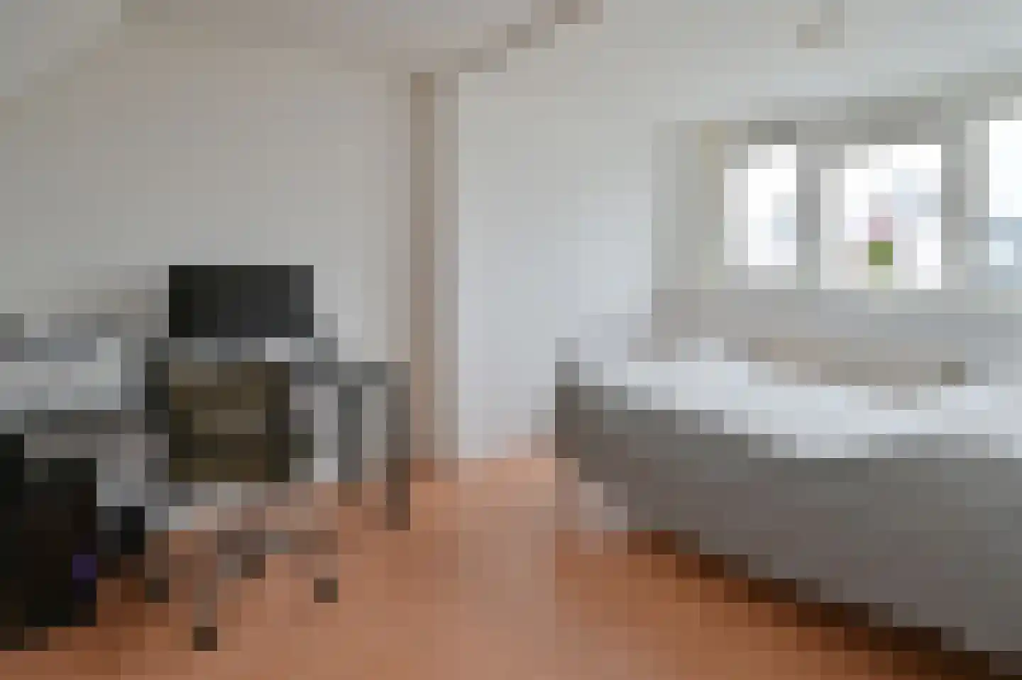 Grauwe Gans 48 Uithoorn thumbnail 17
