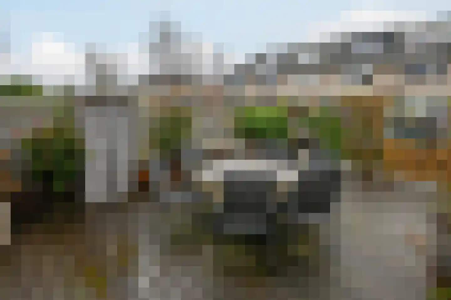 Grauwe Gans 48 Uithoorn thumbnail 21