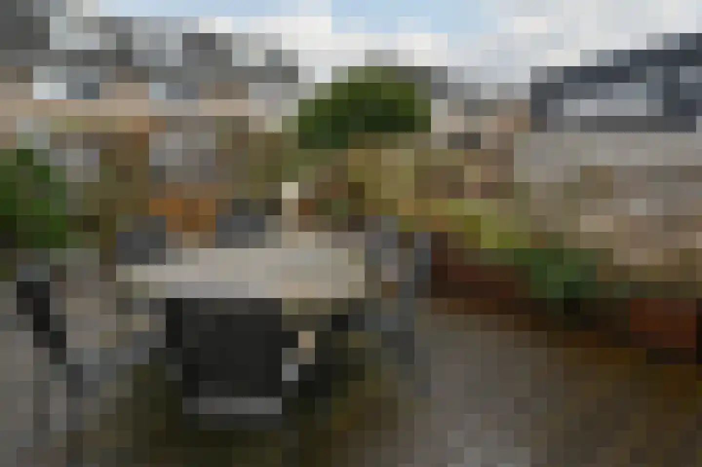 Grauwe Gans 48 Uithoorn thumbnail 22