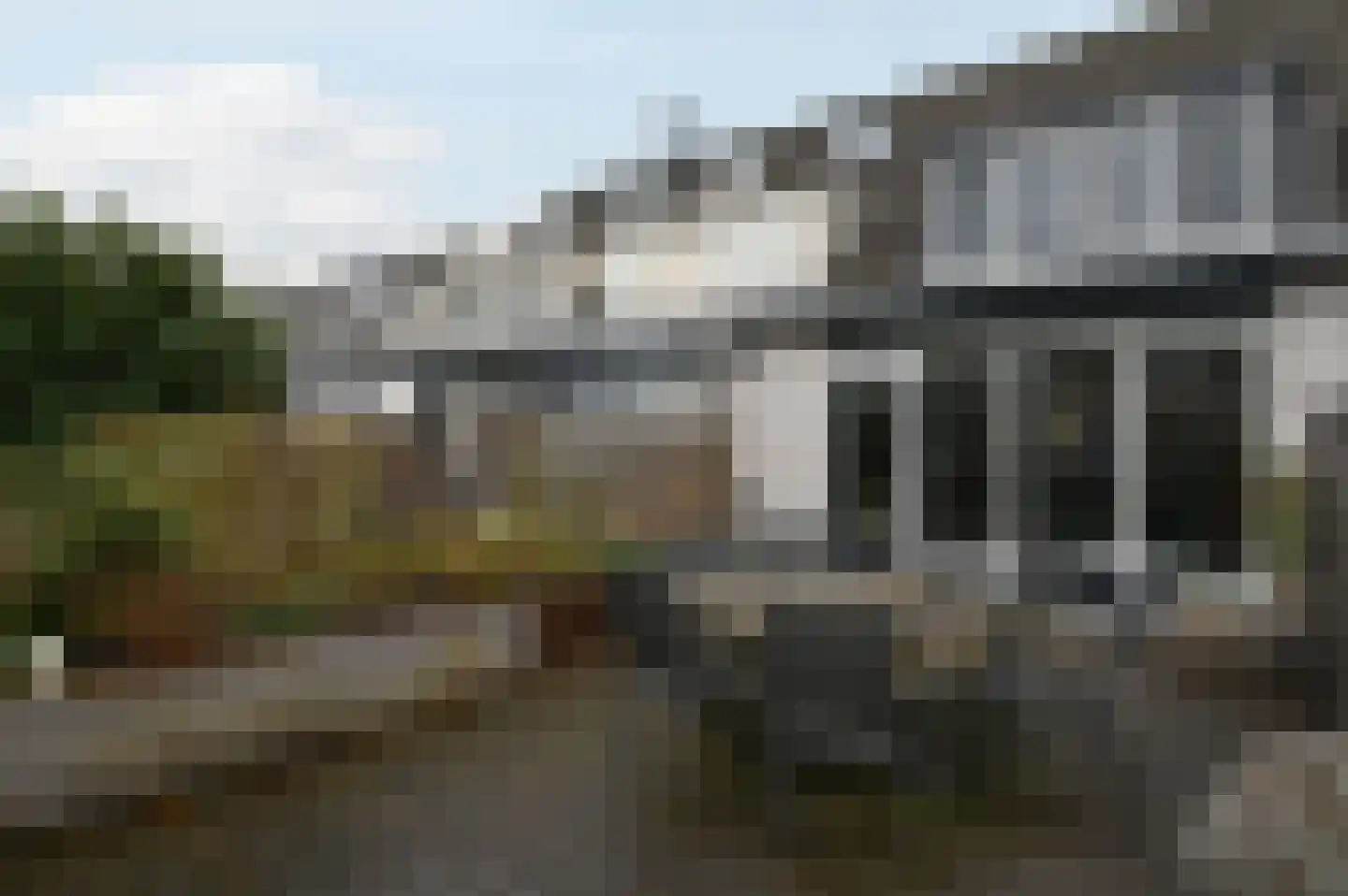 Grauwe Gans 48 Uithoorn thumbnail 23