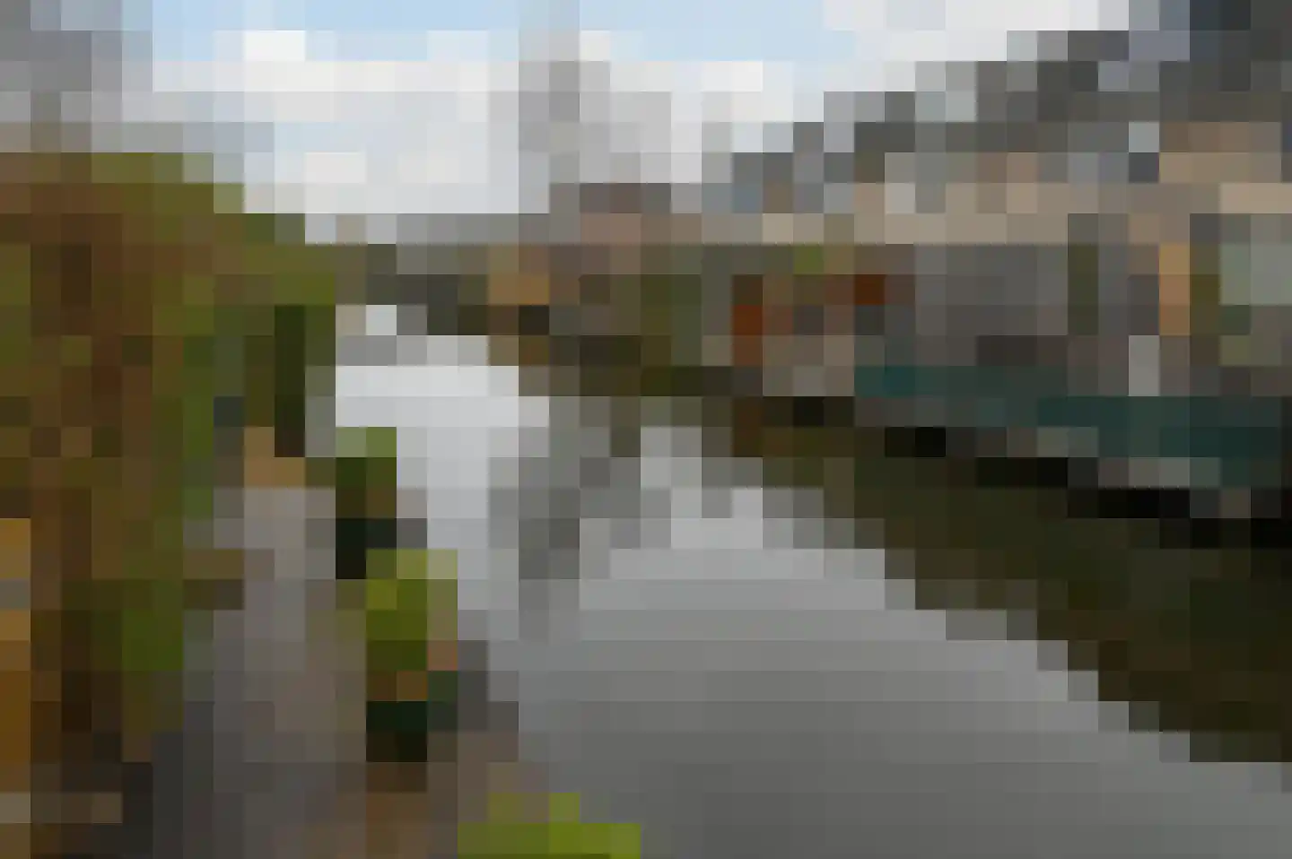 Grauwe Gans 48 Uithoorn thumbnail 25