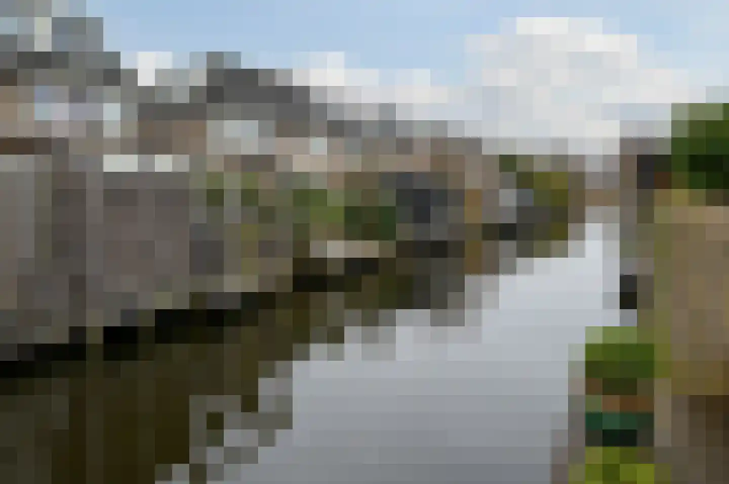 Grauwe Gans 48 Uithoorn thumbnail 26