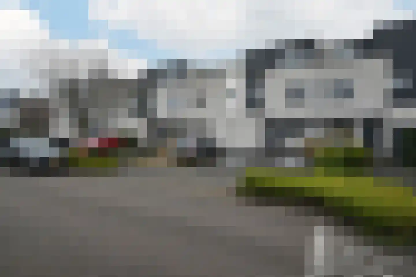 Grauwe Gans 48 Uithoorn thumbnail 27