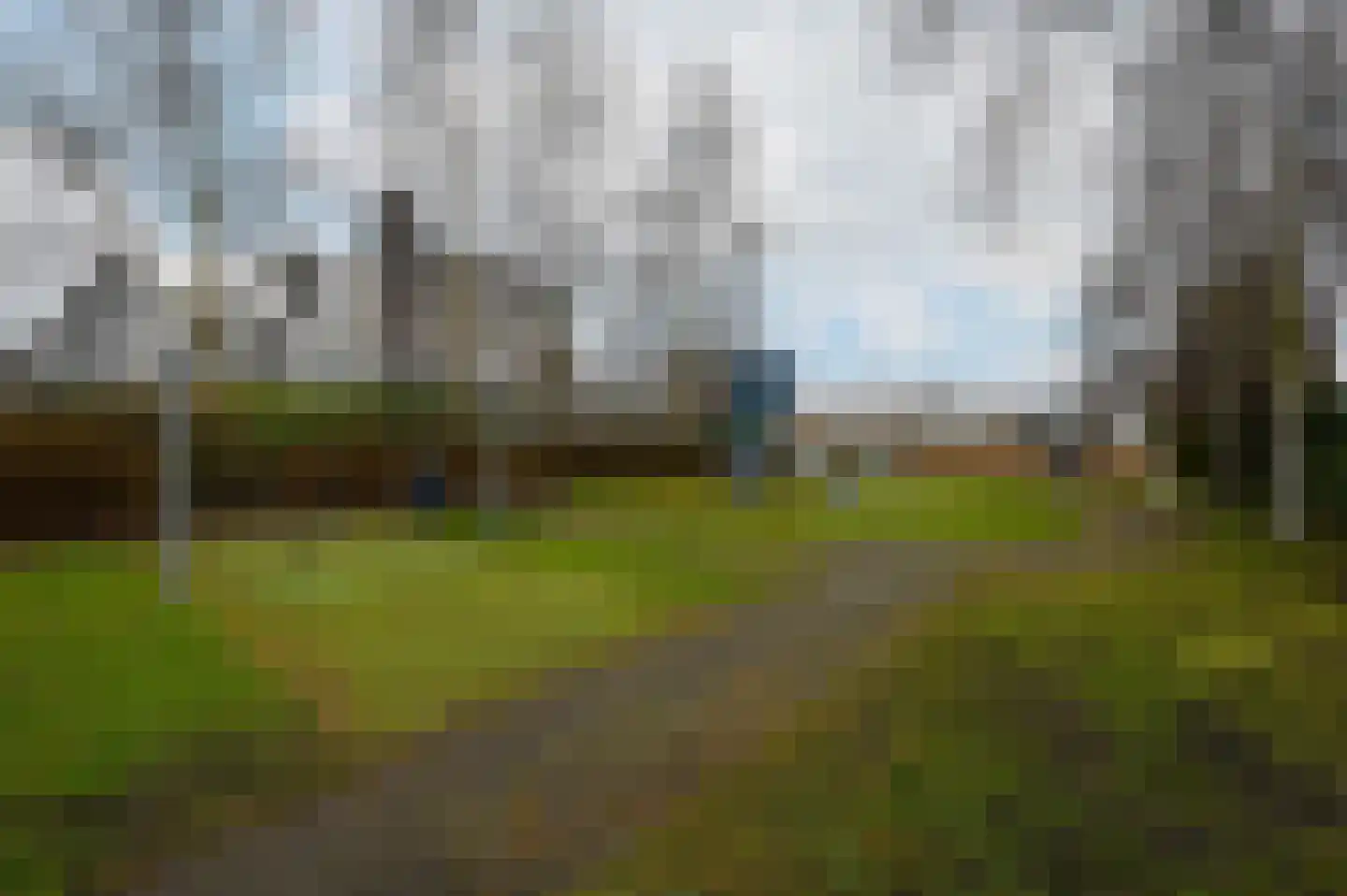 Grauwe Gans 48 Uithoorn thumbnail 28