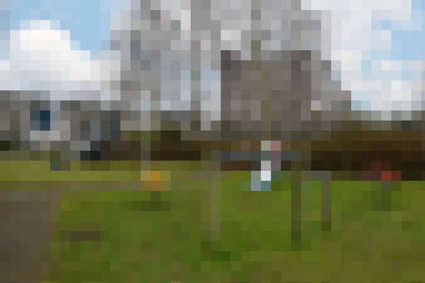 Grauwe Gans 48 Uithoorn thumbnail 29