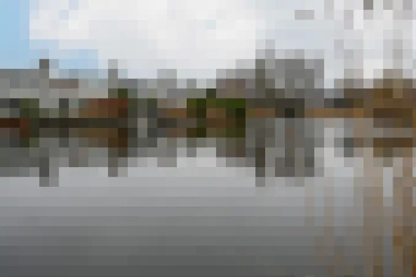 Grauwe Gans 48 Uithoorn thumbnail 30