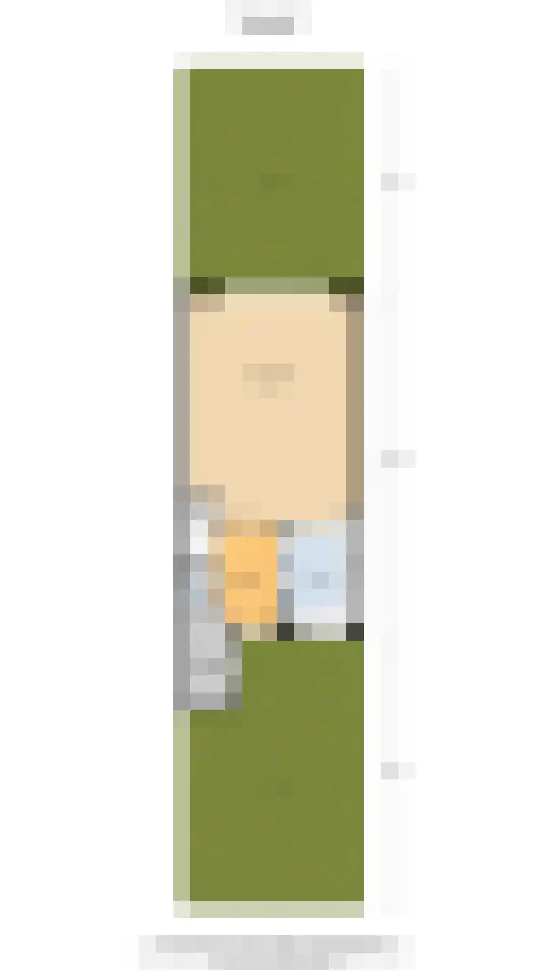 Grauwe Gans 48 Uithoorn thumbnail 31