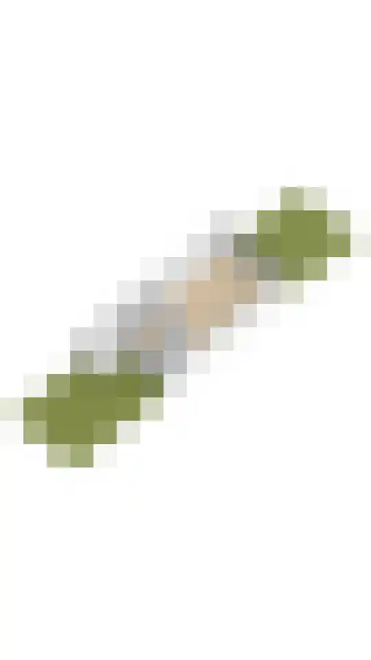 Grauwe Gans 48 Uithoorn thumbnail 32