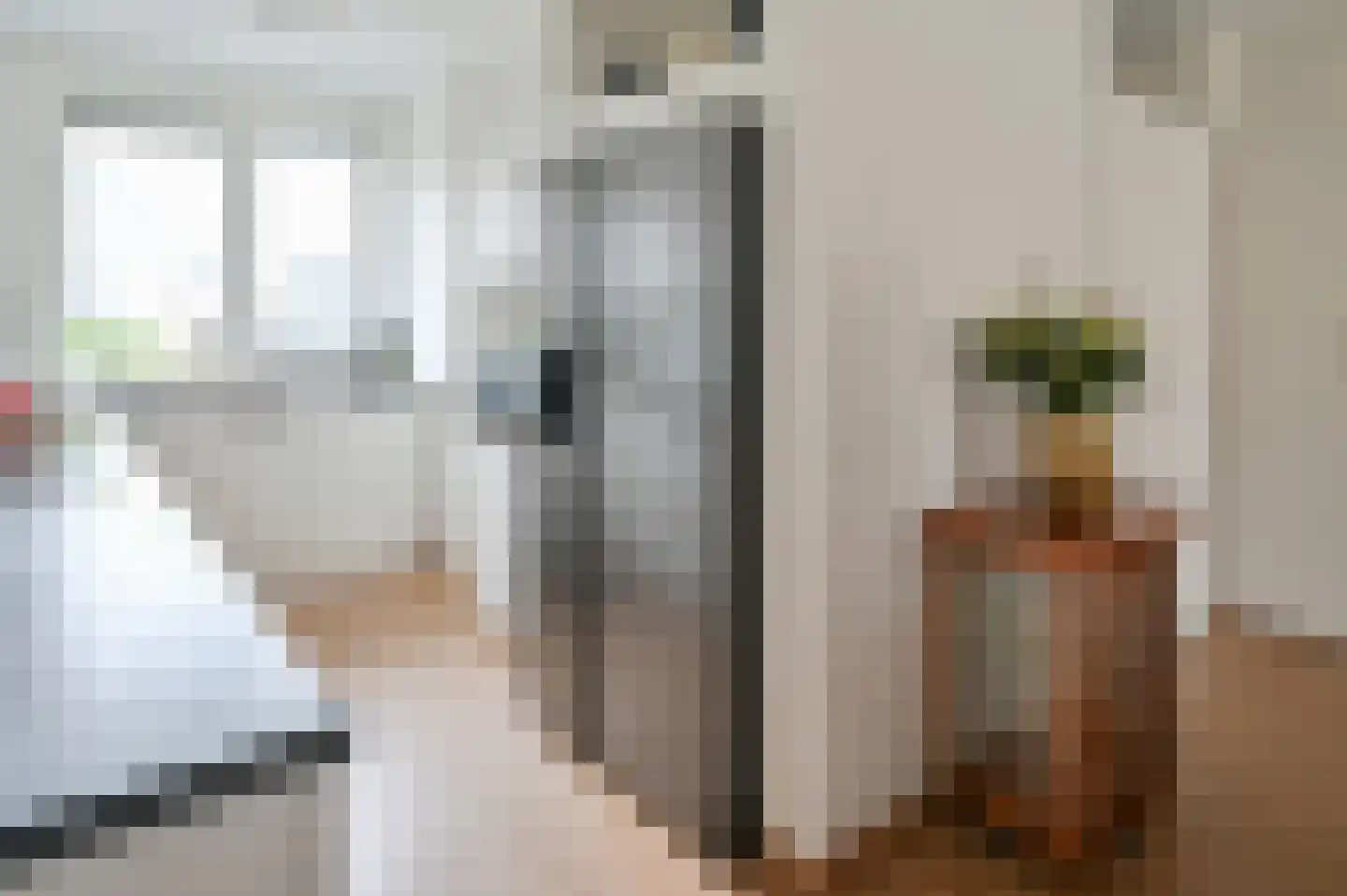 Grauwe Gans 48 Uithoorn thumbnail 4