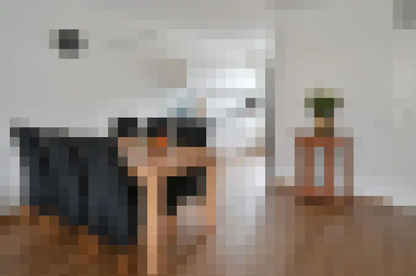 Grauwe Gans 48 Uithoorn thumbnail 6