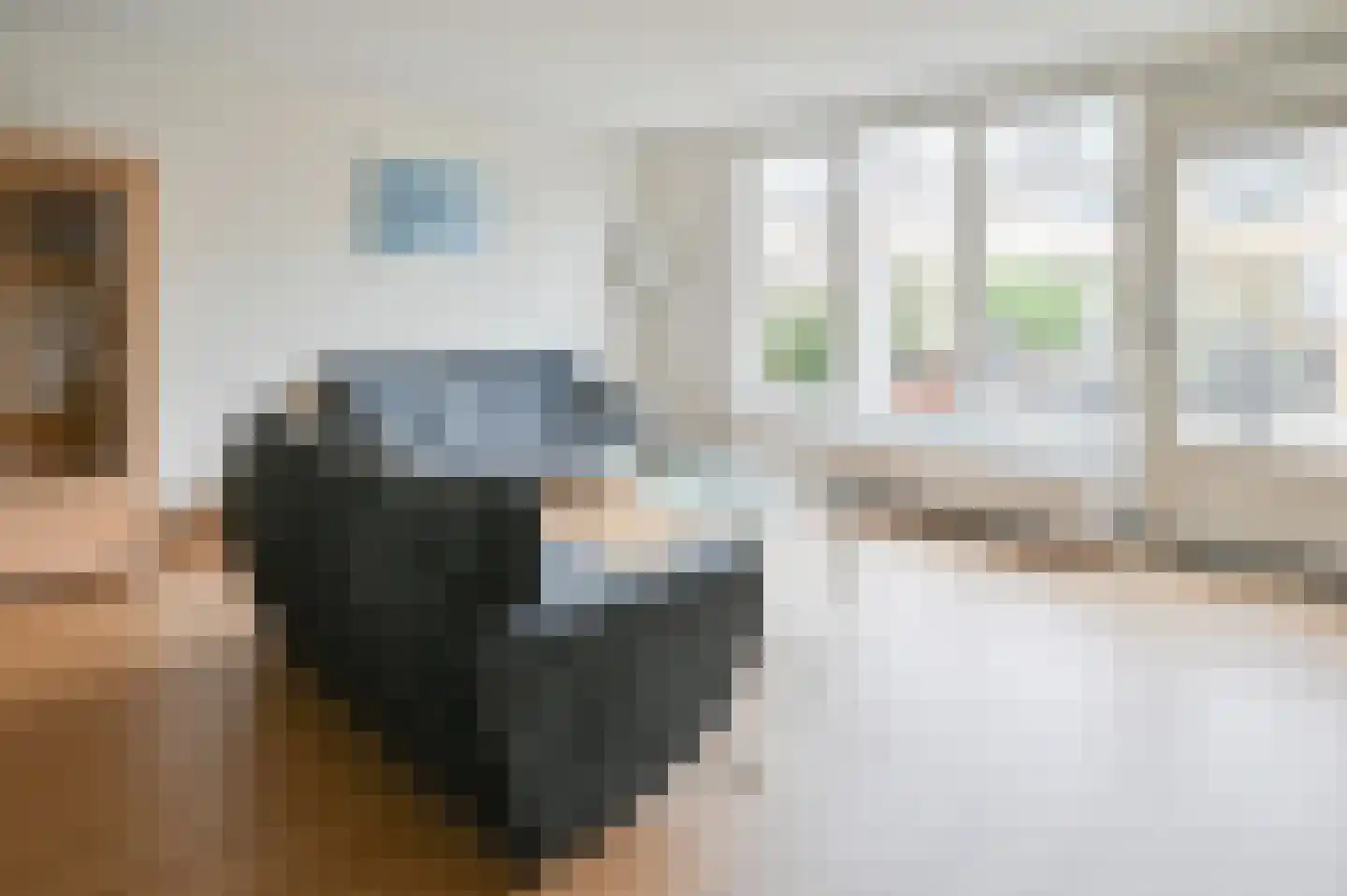 Grauwe Gans 48 Uithoorn thumbnail 7