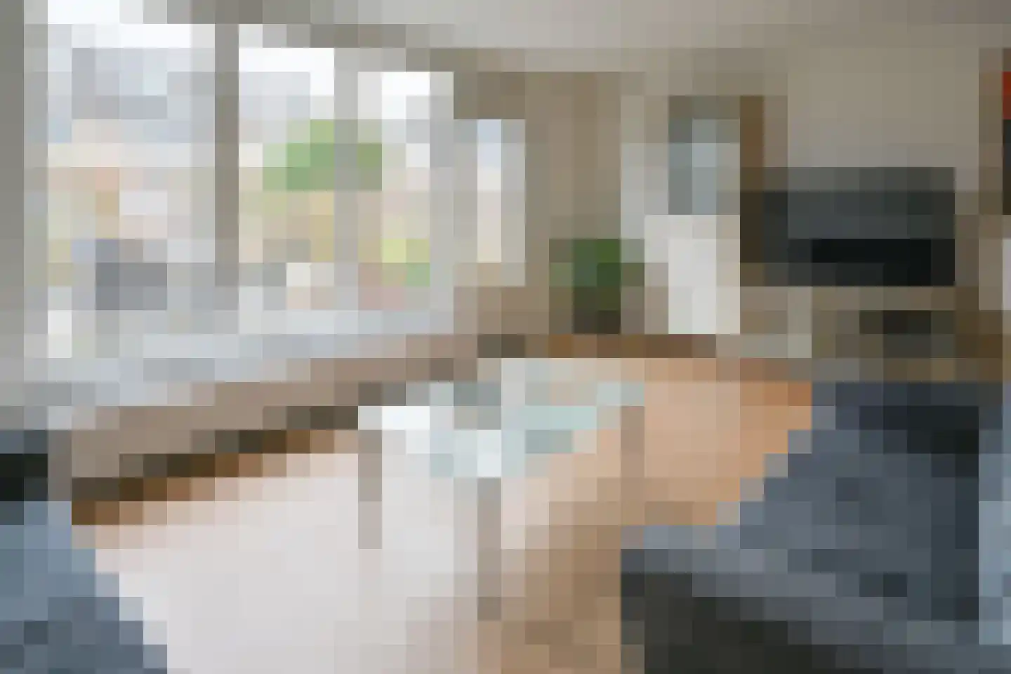 Grauwe Gans 48 Uithoorn thumbnail 8