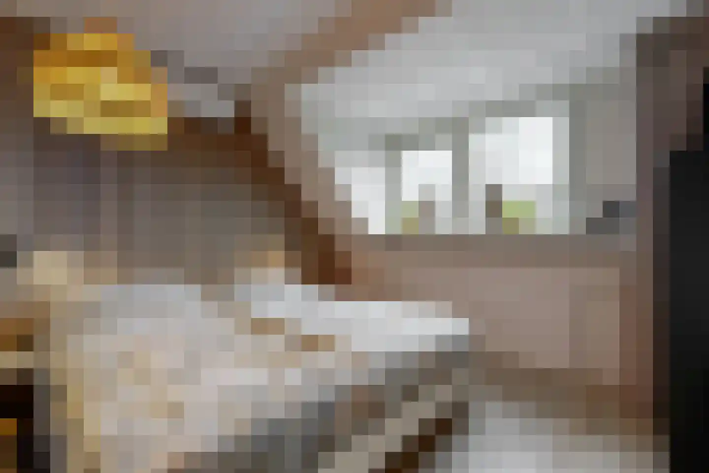 Grauwe Gans 50 Uithoorn thumbnail 20