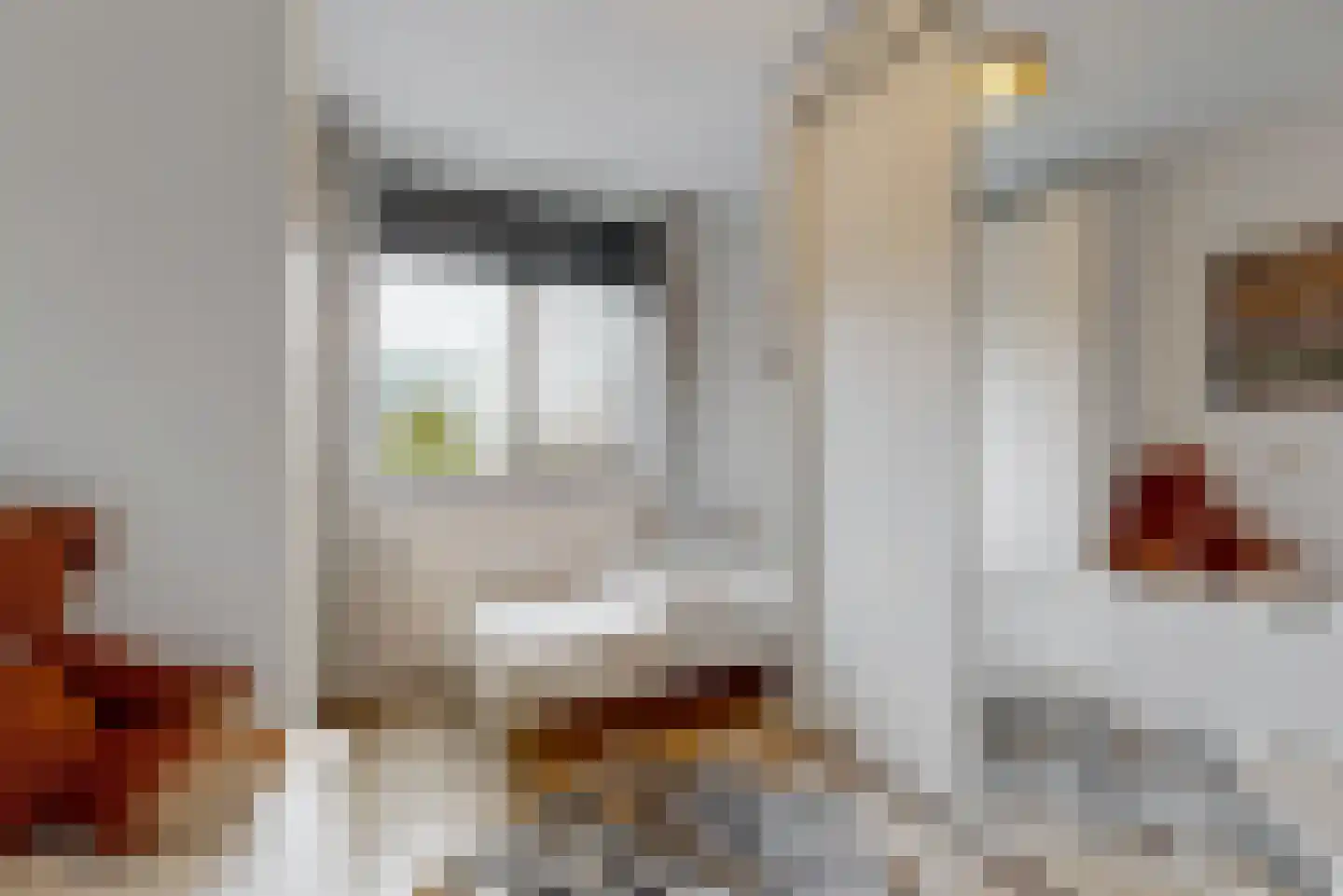 Grauwe Gans 50 Uithoorn thumbnail 22