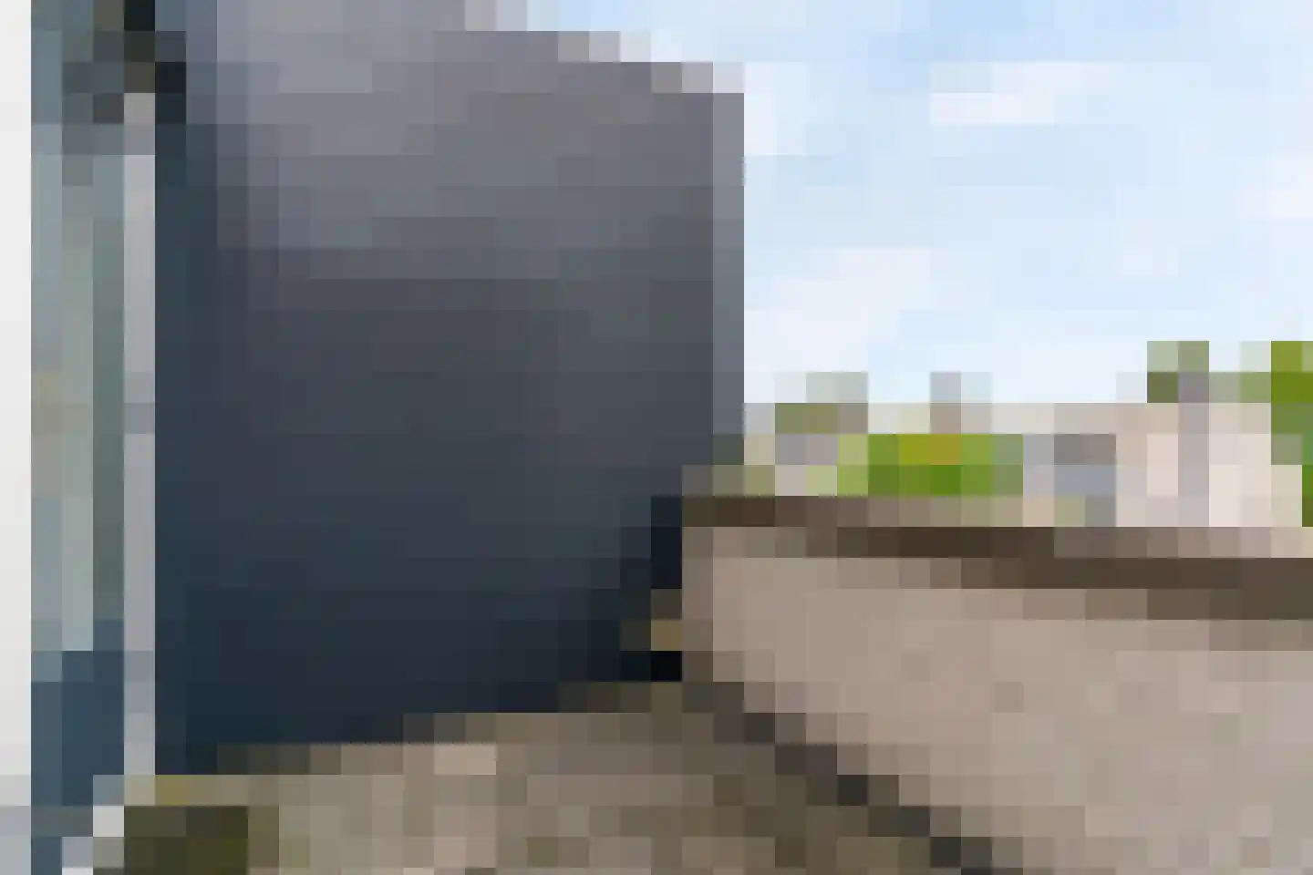 Grauwe Gans 50 Uithoorn thumbnail 25