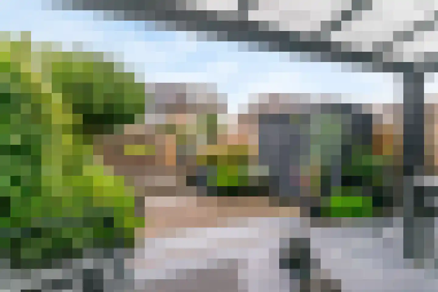 Grauwe Gans 50 Uithoorn thumbnail 27