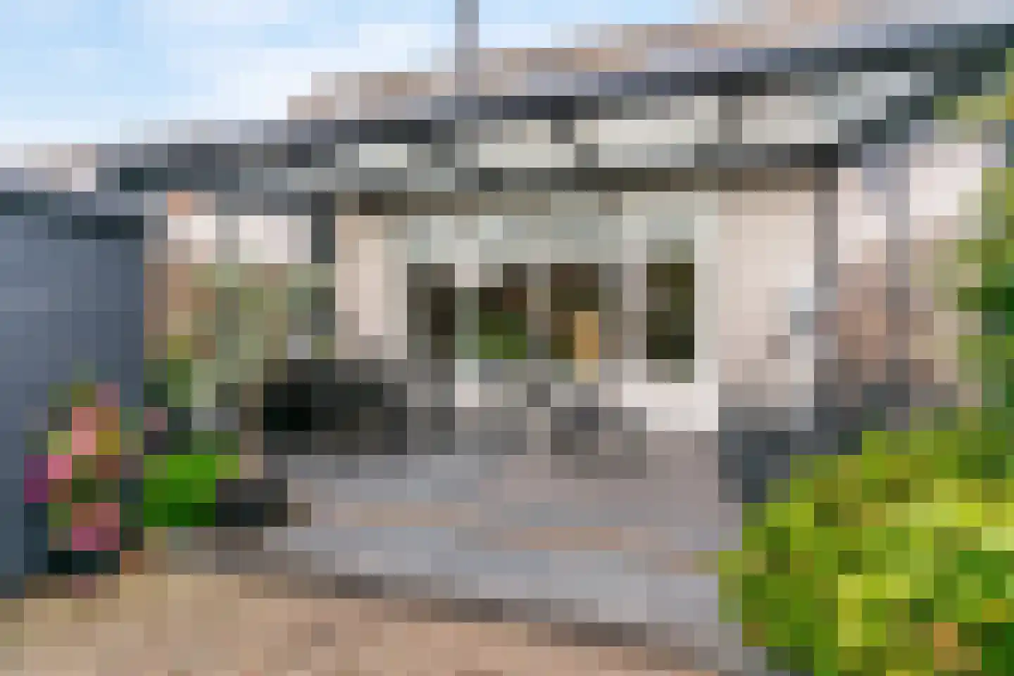 Grauwe Gans 50 Uithoorn thumbnail 29
