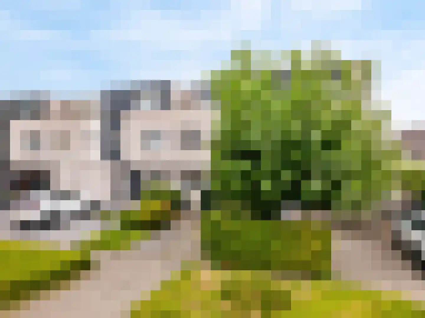 Grauwe Gans 50 Uithoorn foto 3