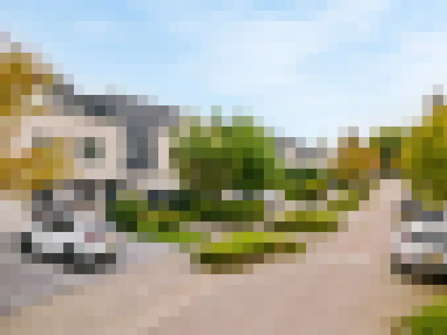 Grauwe Gans 50 Uithoorn thumbnail 4