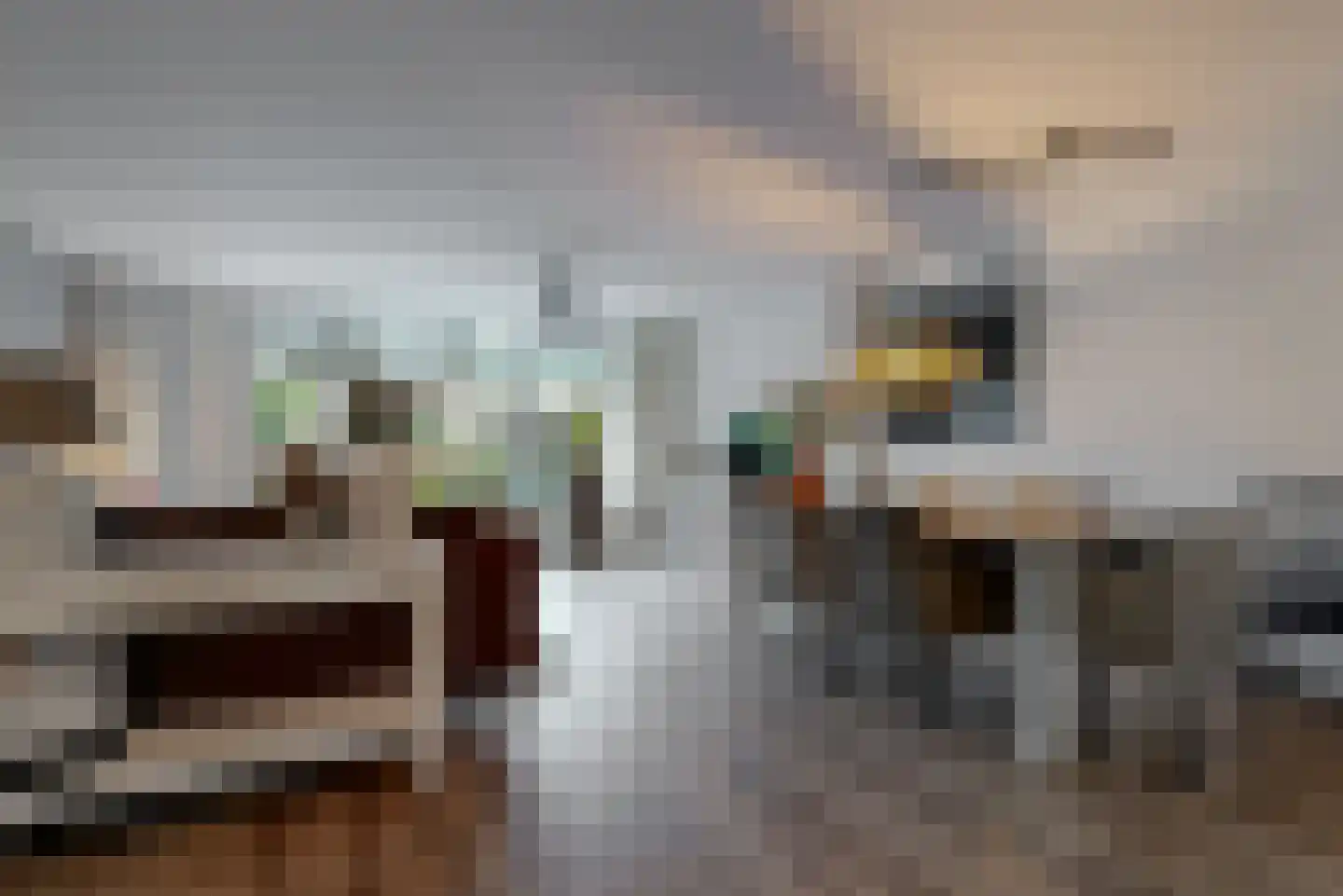 Grauwe Gans 50 Uithoorn thumbnail 8
