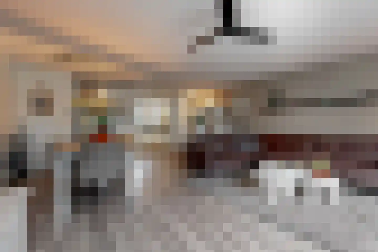 Grauwe Gans 50 Uithoorn thumbnail 9