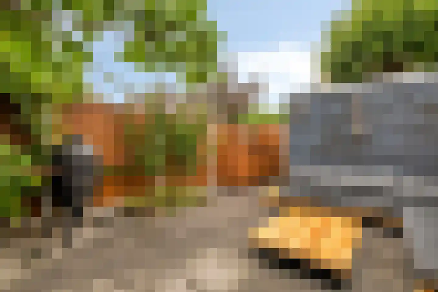 Grauwe Gans 62 Bergen op Zoom thumbnail 31